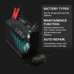 Power Charger 12v 5A trickle battery charger (Red)